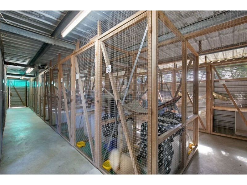 96 FORMOSA ROAD, Belmont QLD 4153