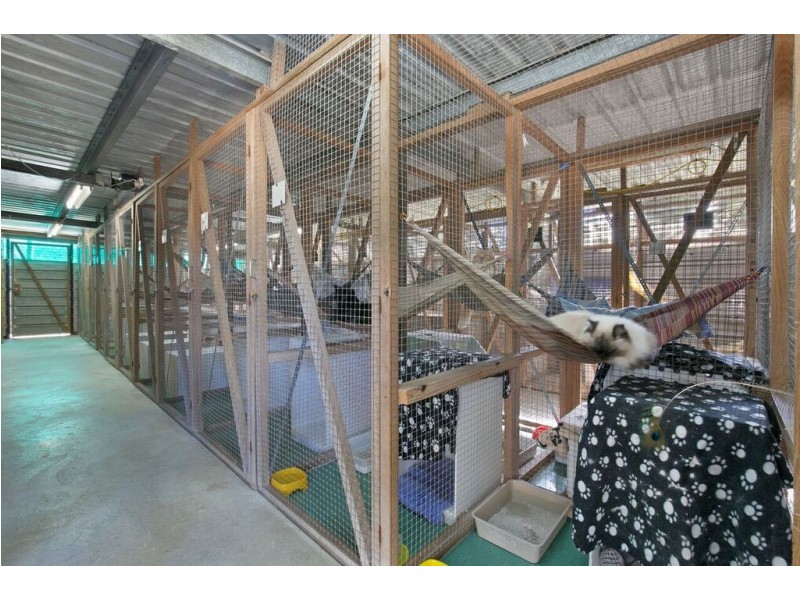 96 FORMOSA ROAD, Belmont QLD 4153