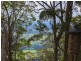 499 Main Western Road, Tamborine Mountain QLD 4272