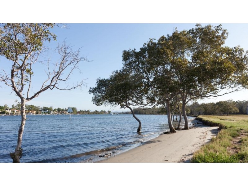Lot 41 Lavinia Way, Coomera QLD 4209