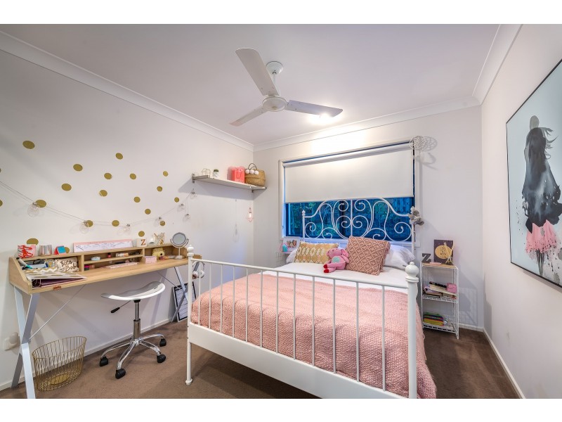 41 Cobb and Co Drive, Oxenford QLD 4210