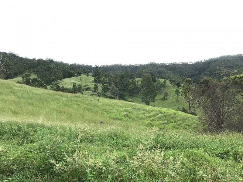 498 Sarabah Road, Canungra QLD 4275