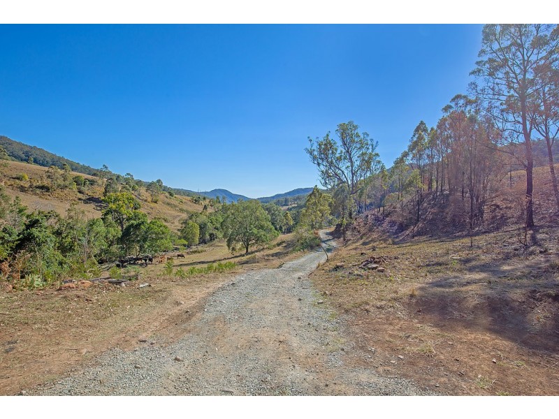 498 Sarabah Road, Canungra QLD 4275