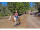 498 Sarabah Road, Canungra QLD 4275