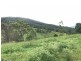 498 Sarabah Road, Canungra QLD 4275