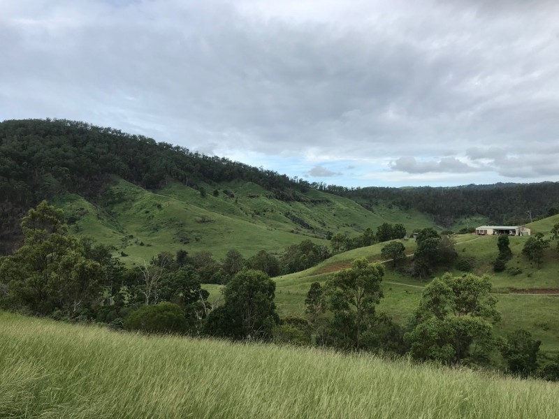498 Sarabah Road, Canungra QLD 4275