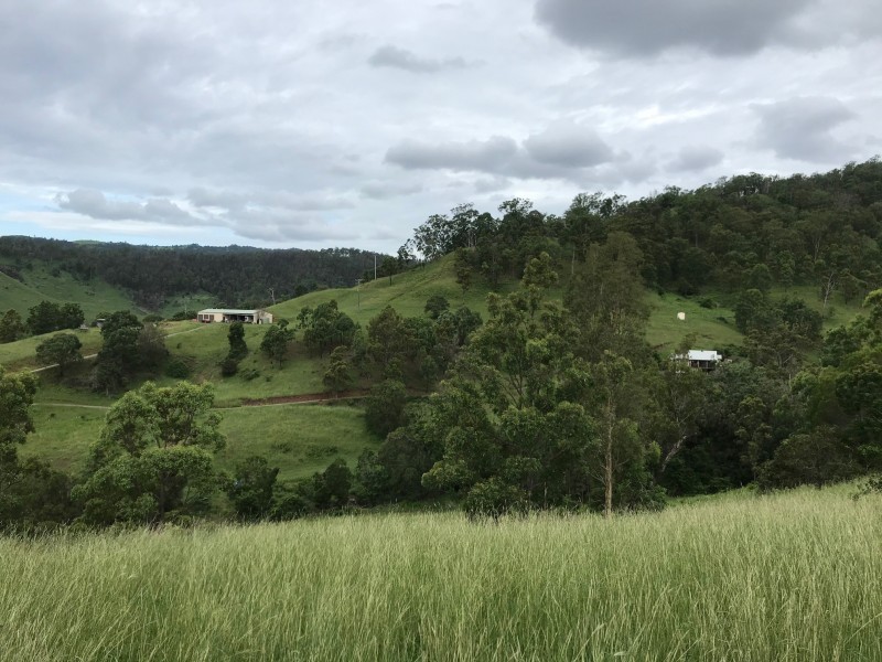 498 Sarabah Road, Canungra QLD 4275