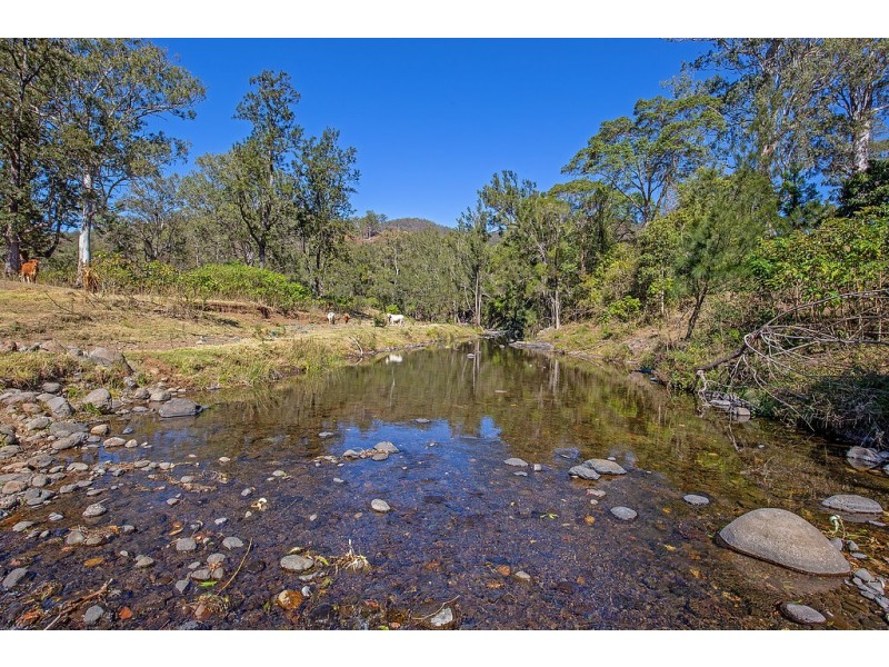 498 Sarabah Road, Canungra QLD 4275