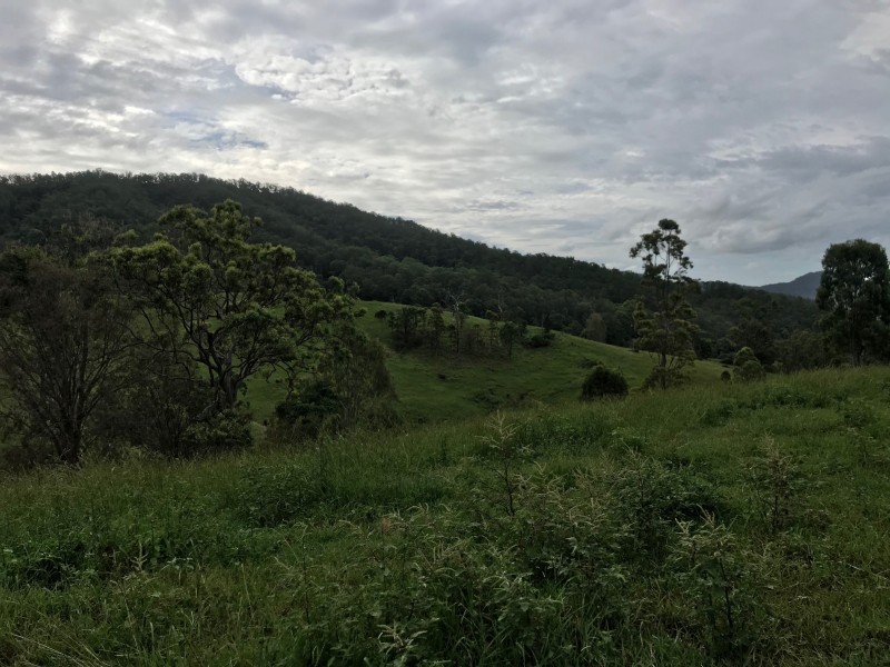 498 Sarabah Road, Canungra QLD 4275
