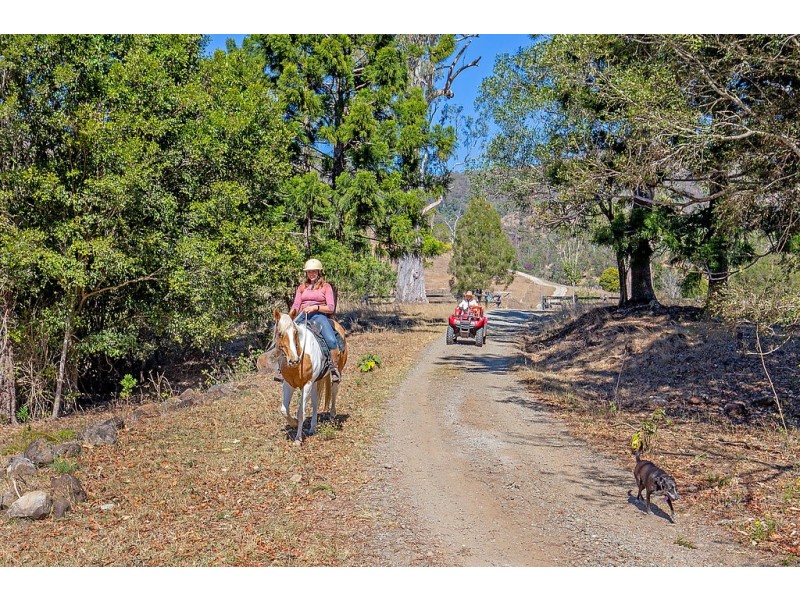 498 Sarabah Road, Canungra QLD 4275