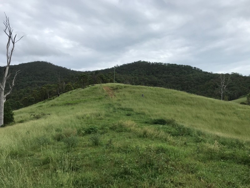 498 Sarabah Road, Canungra QLD 4275