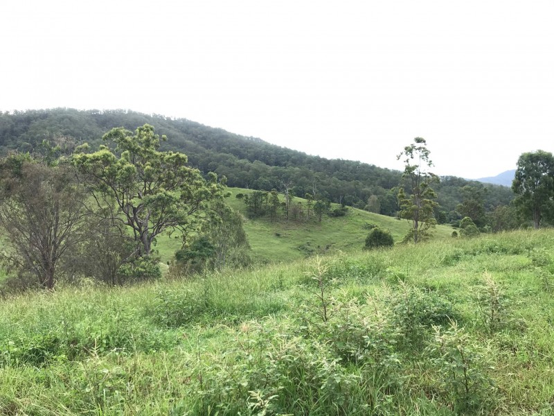 498 Sarabah Road, Canungra QLD 4275