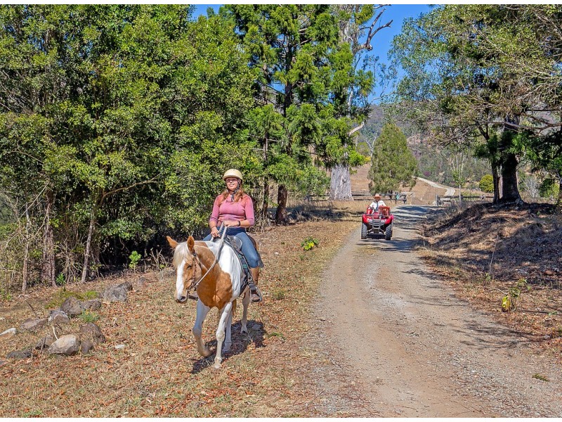 498 Sarabah Road, Canungra QLD 4275