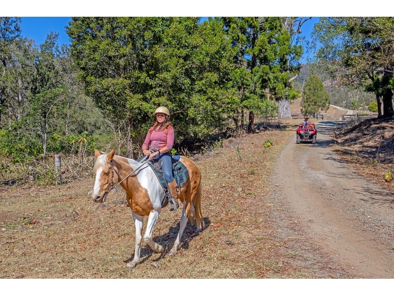 498 Sarabah Road, Canungra QLD 4275