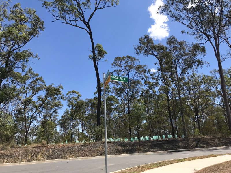 Lot 6 Pelling Place, Deebing Heights QLD 4306