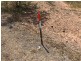 Lot 6 Pelling Place, Deebing Heights QLD 4306