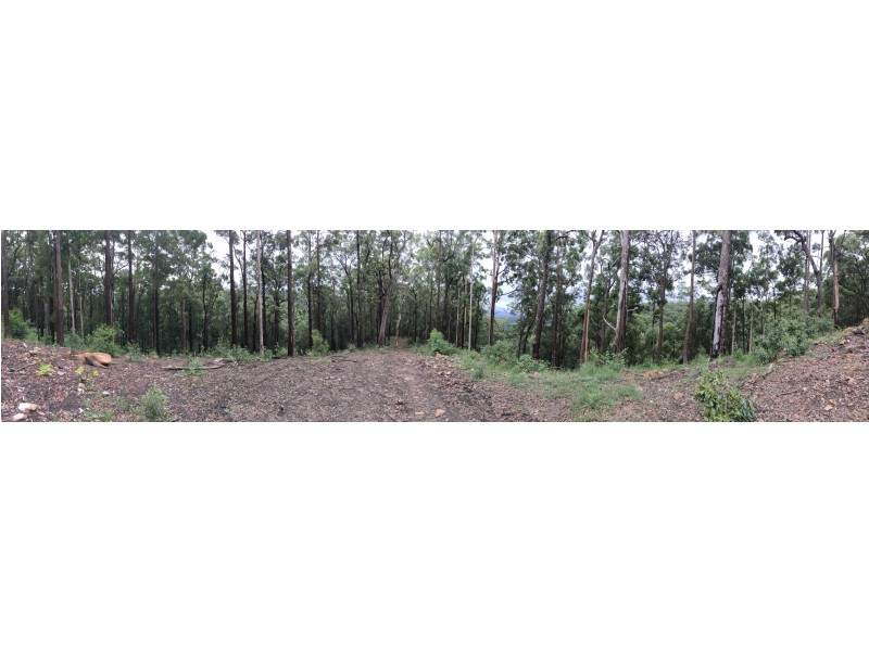 108D Wongawallen Road, Tamborine Mountain QLD 4272