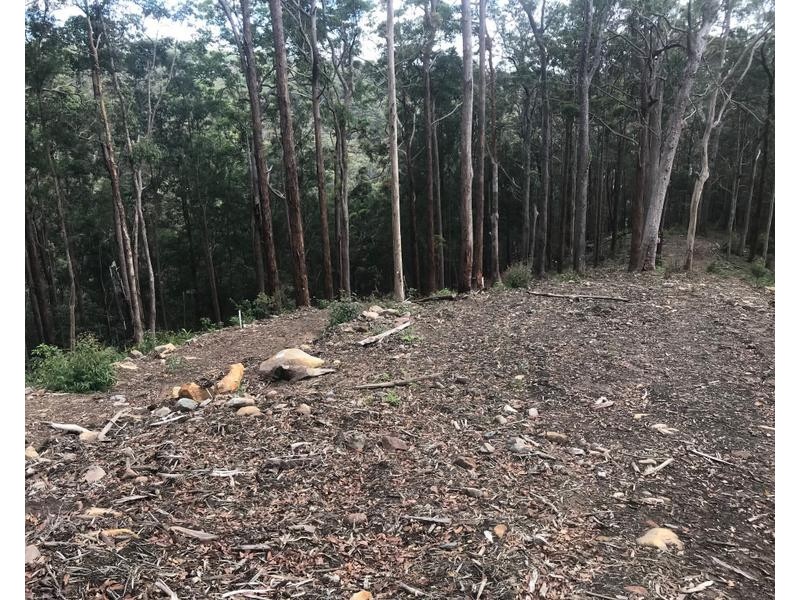 108D Wongawallen Road, Tamborine Mountain QLD 4272