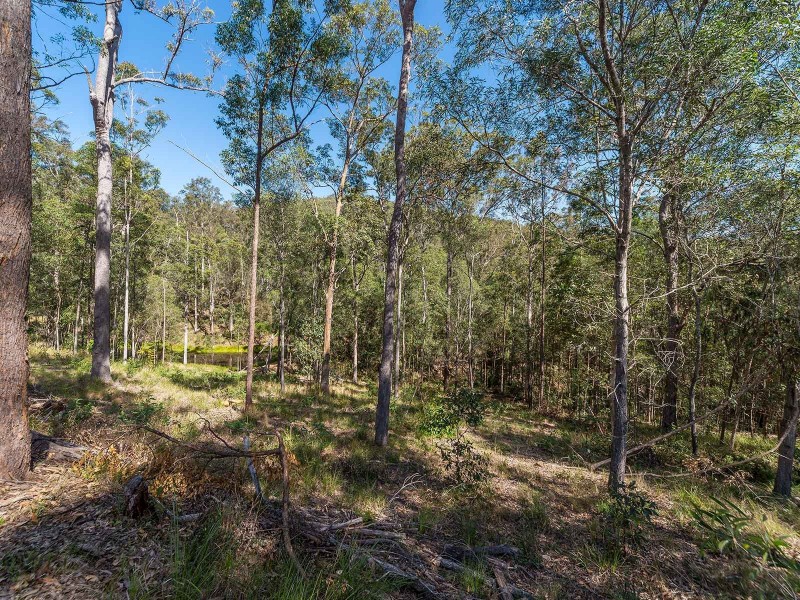 170 Lynwood Drive, Guanaba QLD 4210