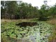 14 Lyminge Court, Bonogin QLD 4213