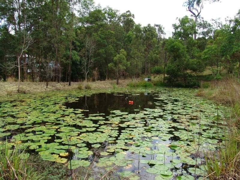 14 Lyminge Court, Bonogin QLD 4213