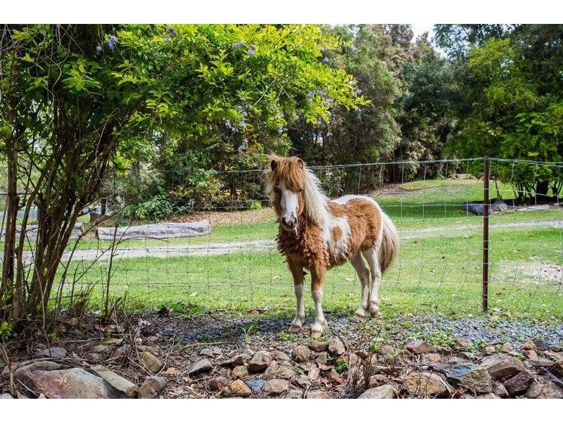 14 Lyminge Court, Bonogin QLD 4213