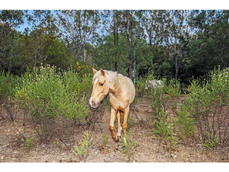 563 Stanmore Road, Yatala QLD 4207