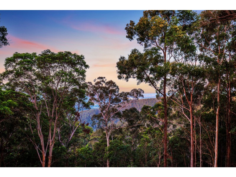 7 Tabor Drive, Tamborine Mountain QLD 4272