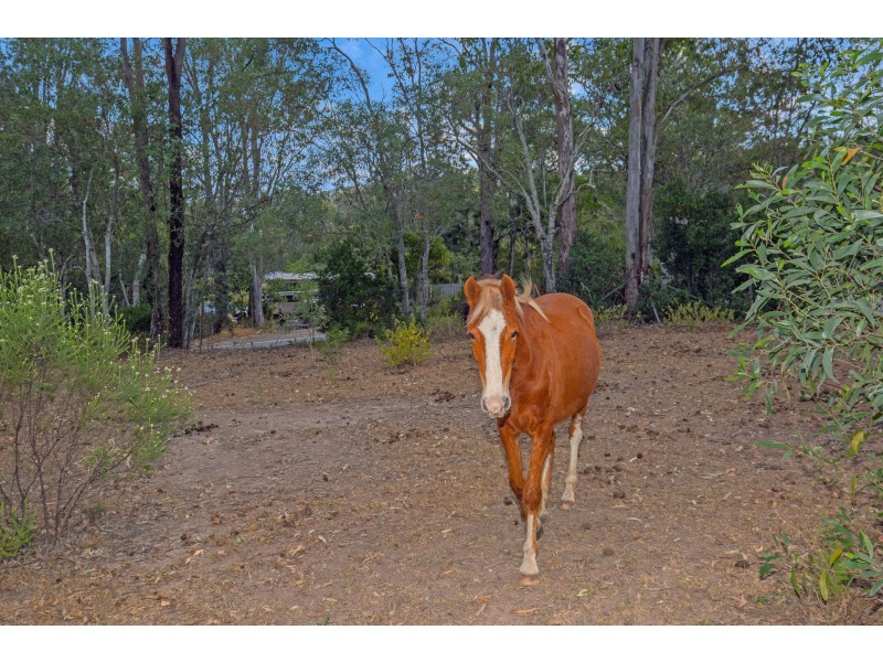 563 Stanmore Road, Yatala QLD 4207