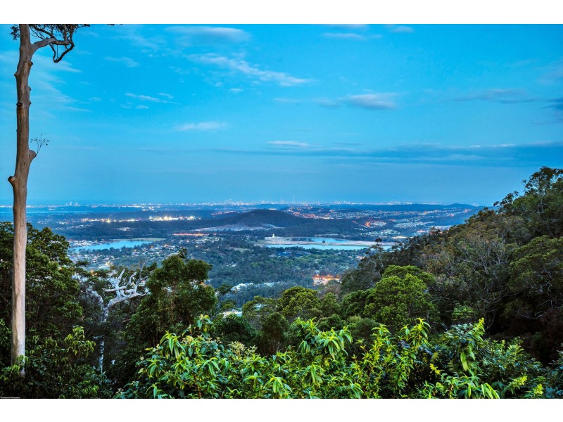 160 Wongawallan Drive, Wongawallan QLD 4210