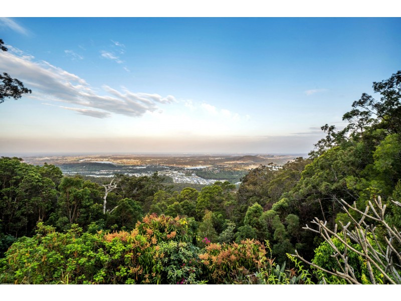 160 Wongawallan Drive, Wongawallan QLD 4210