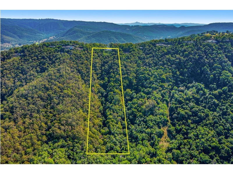 160 Wongawallan Drive, Wongawallan QLD 4210