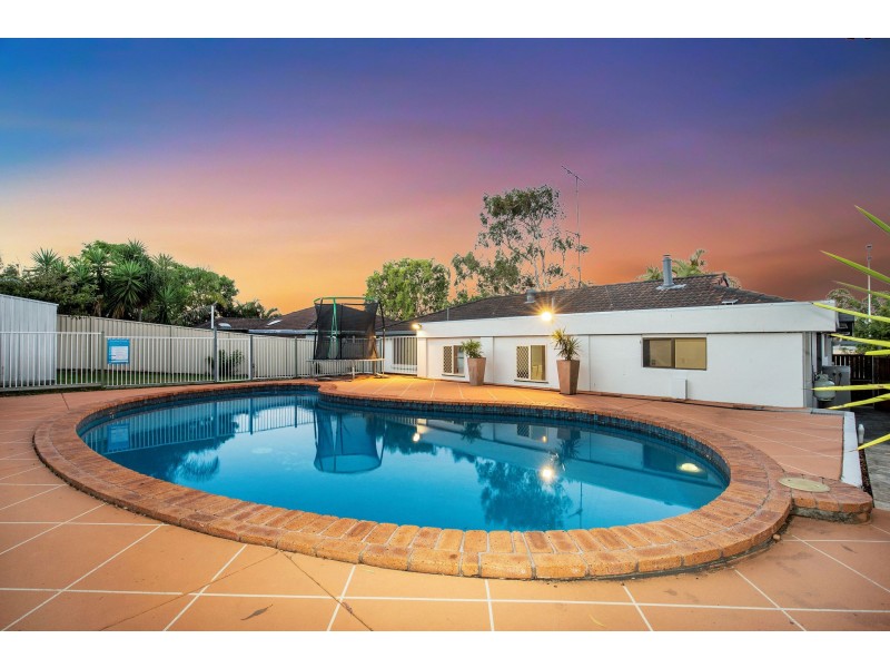 172 Currumburra Road, Ashmore QLD 4214