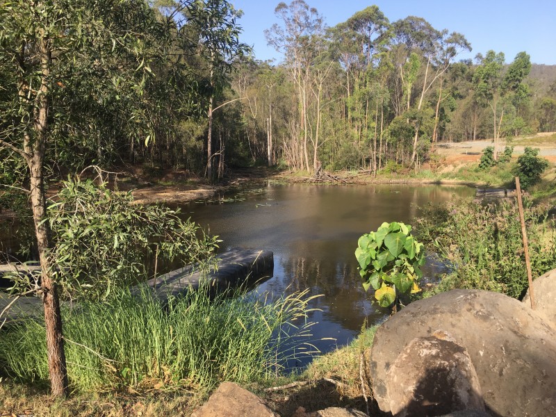 464 Beaudesert Nerang Road, Maudsland QLD 4210