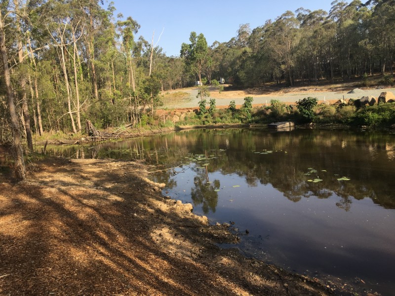 464 Beaudesert Nerang Road, Maudsland QLD 4210