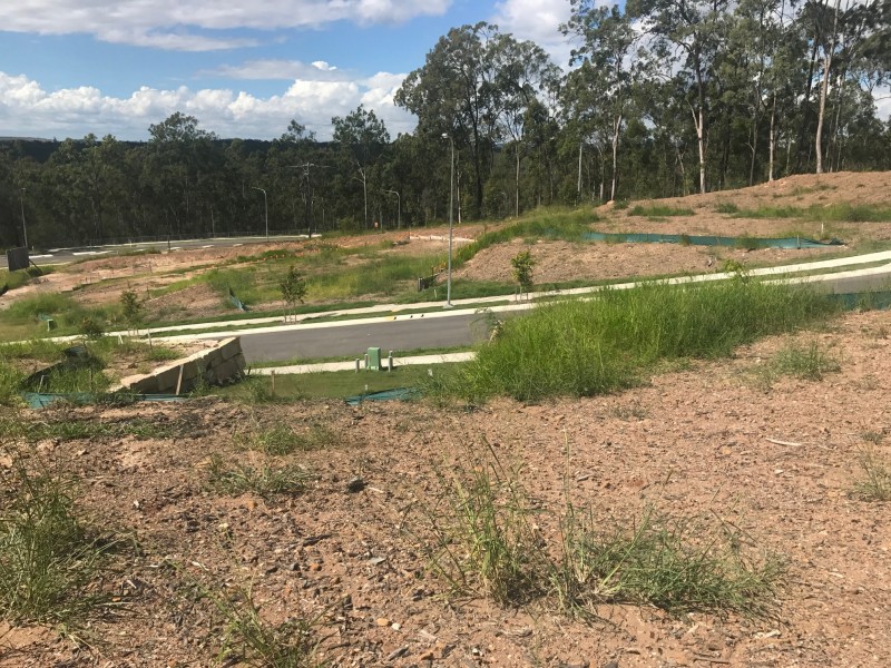 Lot 48 Sunbury Way, Deebing Heights QLD 4306