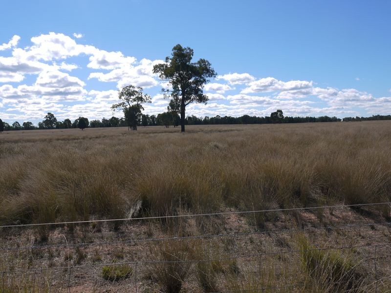 Lot 24 & 25 Texas Yelarbon Road, Glenarbon QLD 4385