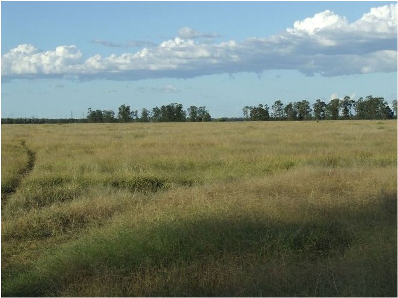 Lot 24 & 25 Texas Yelarbon Road, Glenarbon QLD 4385