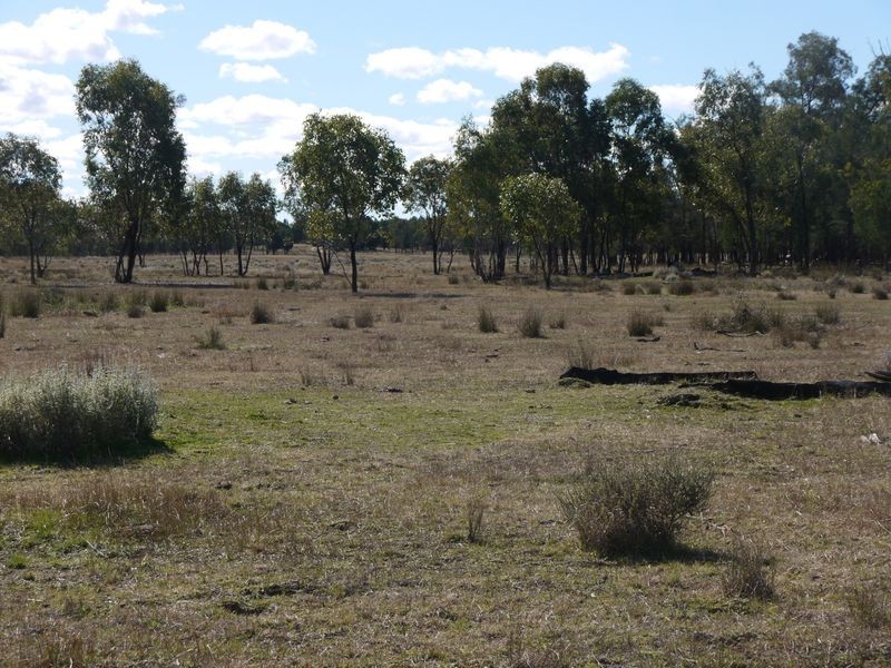 Lot 24 & 25 Texas Yelarbon Road, Glenarbon QLD 4385