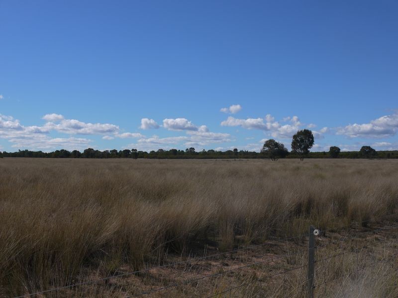 Lot 24 & 25 Texas Yelarbon Road, Glenarbon QLD 4385