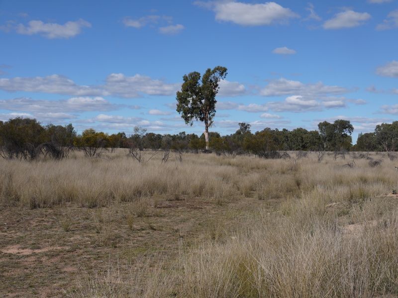 Lot 24 & 25 Texas Yelarbon Road, Glenarbon QLD 4385