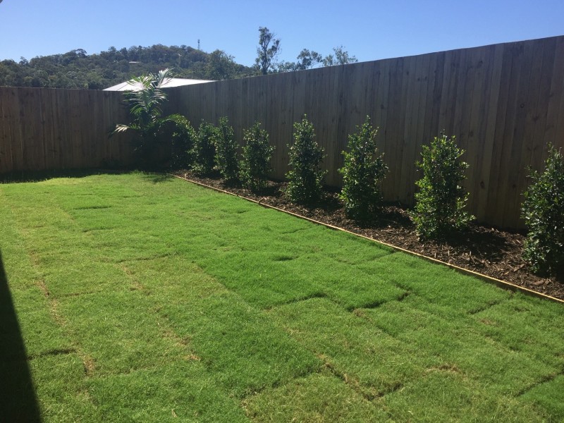 Lot 309 Chisolm Way, Pimpama QLD 4209