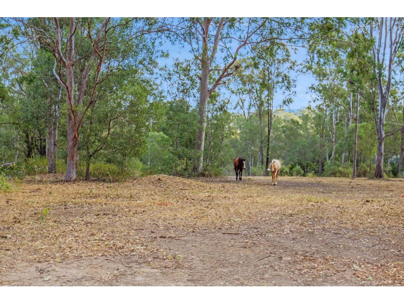 563 Stanmore Road, Yatala QLD 4207