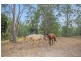 563 Stanmore Road, Yatala QLD 4207