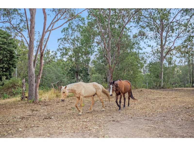 563 Stanmore Road, Yatala QLD 4207