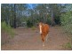 563 Stanmore Road, Yatala QLD 4207
