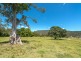 Lot 24, 2558 Beaudesert Nerang Road, Canungra QLD 4275