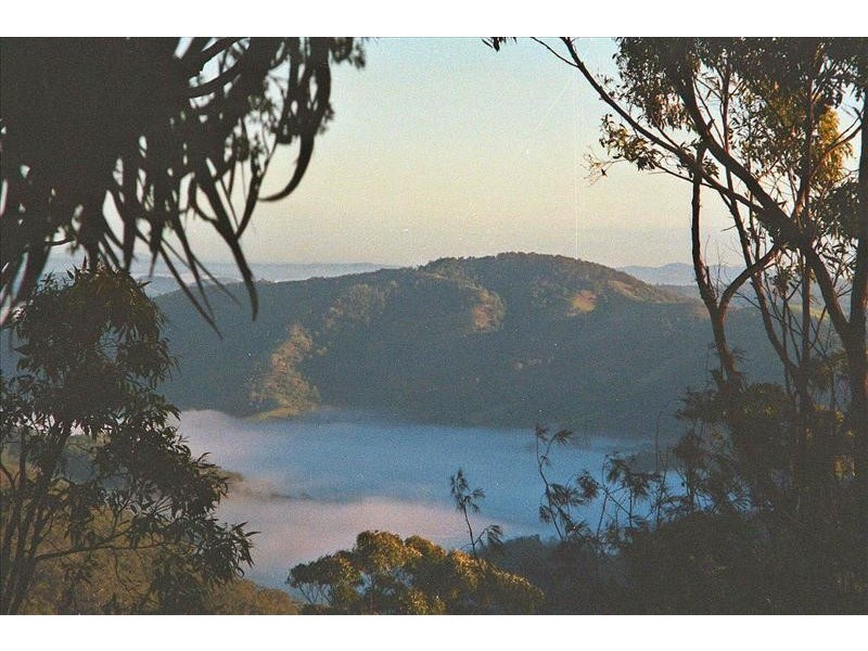 1718 Tamborine-Oxenford Road, Tamborine Mountain QLD 4272
