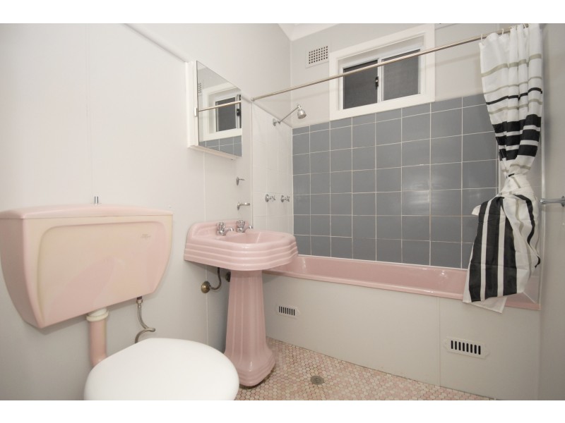 13 Crowgey Street, Rydalmere NSW 2116