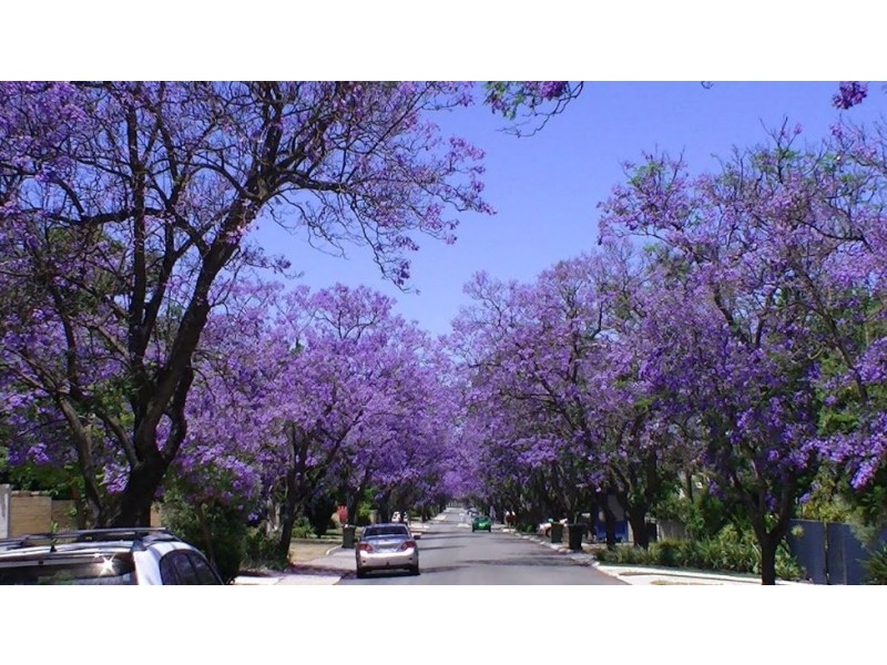 1 GROSSE ROAD, Applecross WA 6153